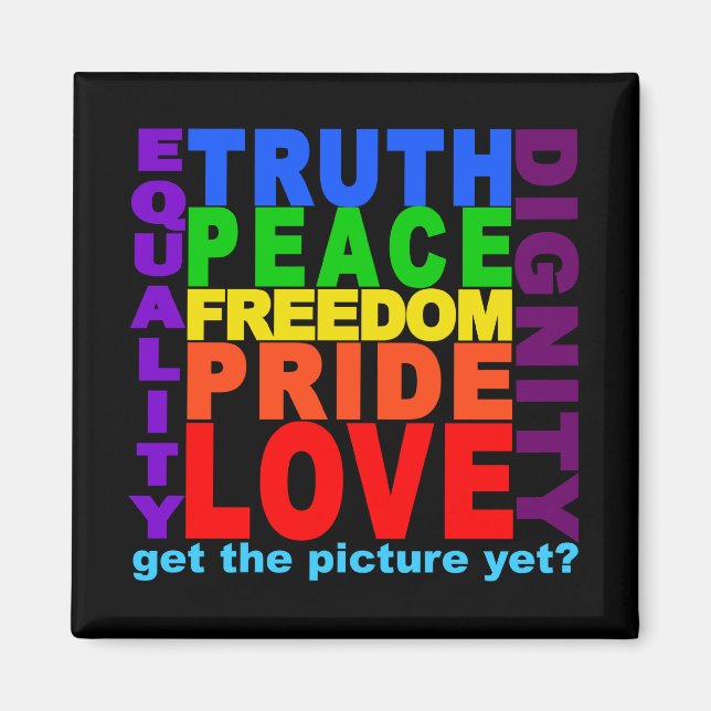 Get The Picture? magnet (Front)