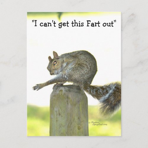 Get this fart out Funny Squirrel Postcard