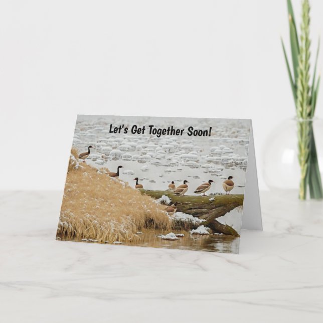 Get Together Meeting Meet Goose Geese Fun Art Card (Front)