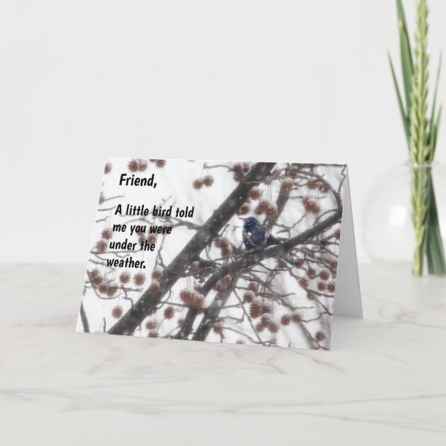 Get well, a little bird told me you were under ... card (Front)