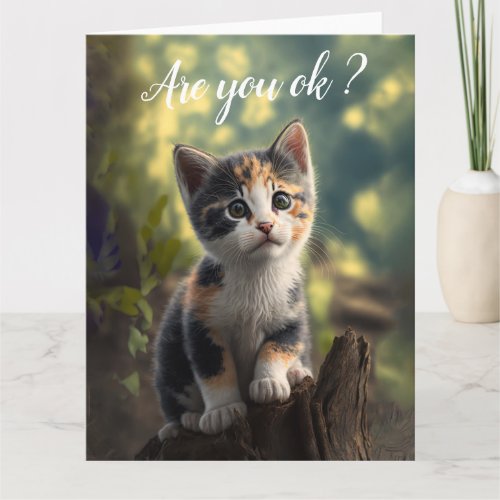 Get Well Adorable Calico Kitten Card