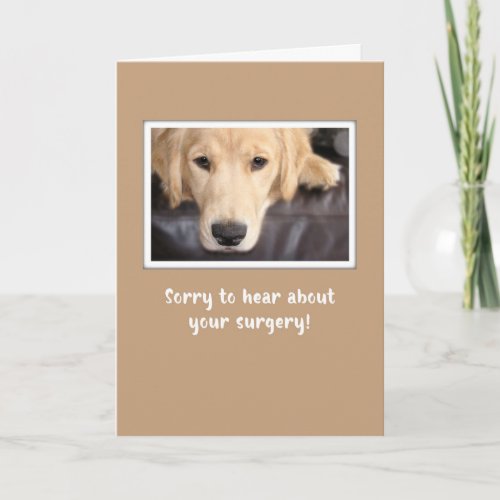 Get Well After Heart Surgery With Golden Retriever Card