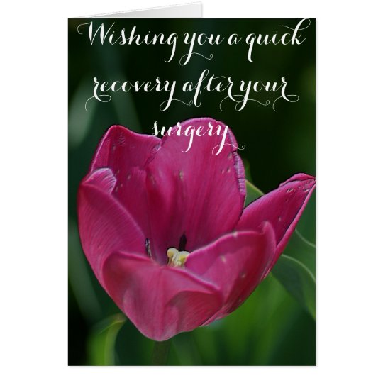 Get Well After Surgery Tulip Card Zazzle Com