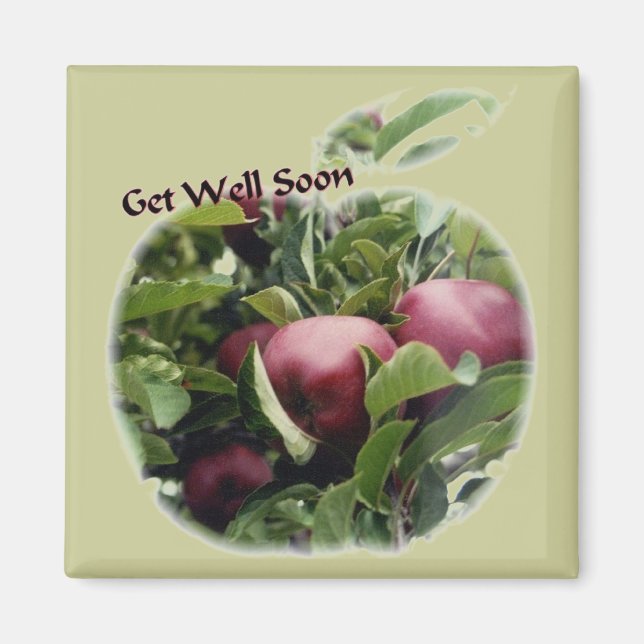 Get Well Apples Photography Magnet (Front)