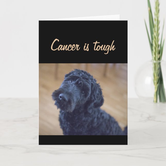 Get Well Cancer is Tough Warrior Survivor Cute Dog Card (Front)