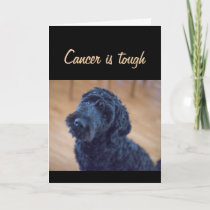 Get Well Cancer is Tough Warrior Survivor Cute Dog Card