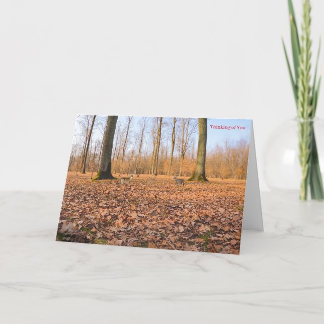 Get Well Card (Front)