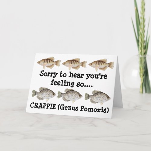 Get Well Card Crappie