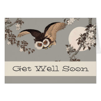 Owl Get Well Greeting Cards | Zazzle