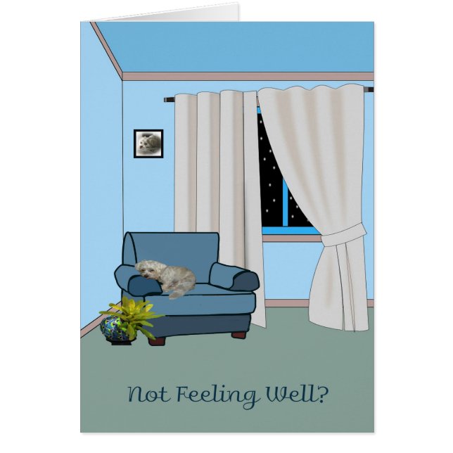 Get Well Card for any White Small Dog (Front)