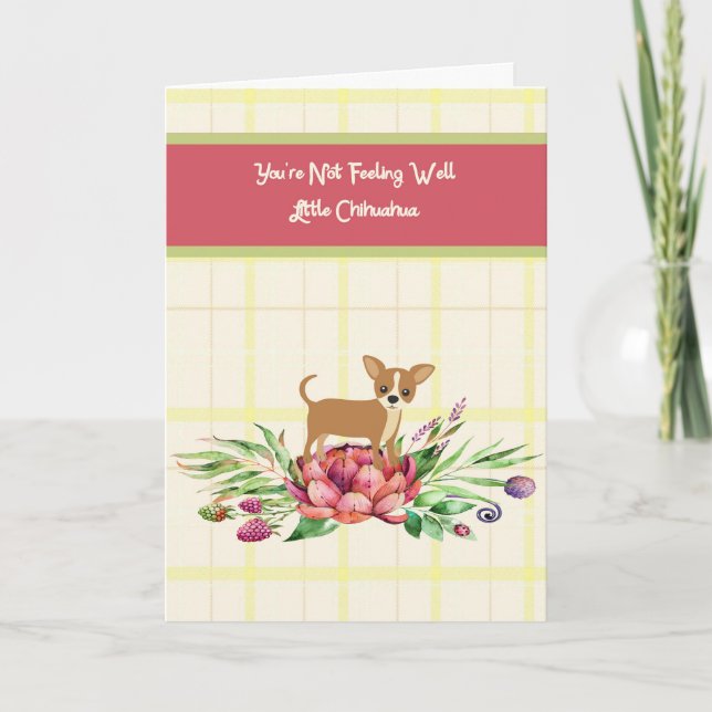 Get Well Card for Chihuahua (Front)