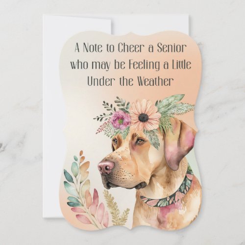 Get Well Card for Female or Male Senior in Home