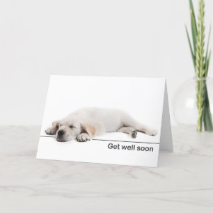 Get well card Golden retriever puppy