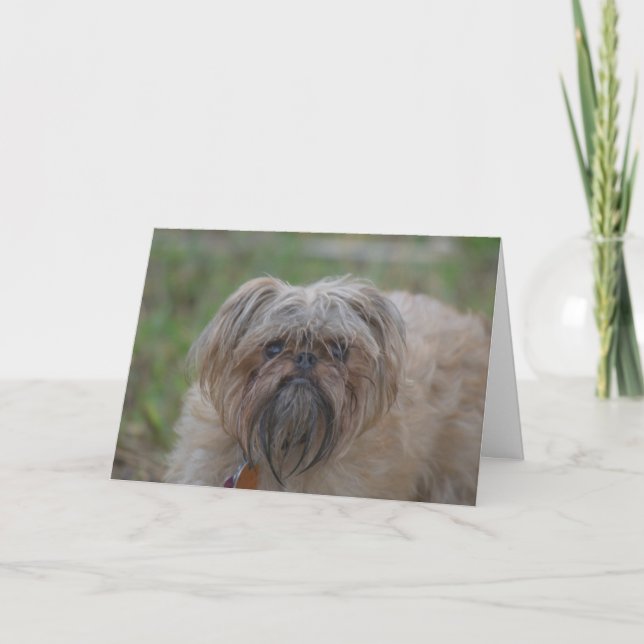 Get Well Card-Humor/Rude Card (Front)