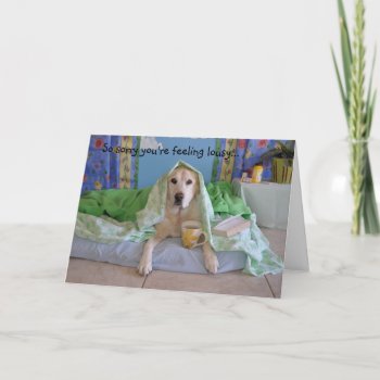 Get Well Card  Photo Of Dog Playing Sick Thank You Card by PlaxtonDesigns at Zazzle