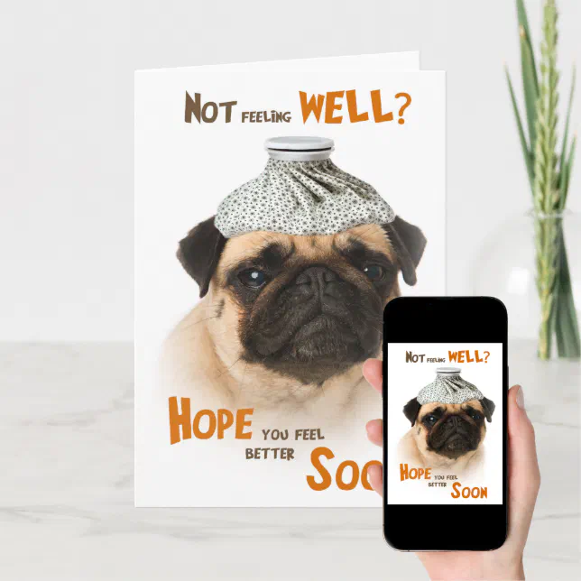 Get well card with a Pug dog not feeling well Zazzle