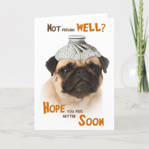 Get well card with a Pug dog not feeling well Zazzle