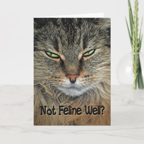 Get Well Cat Card