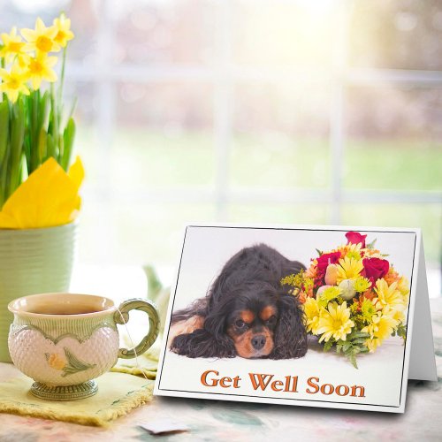 Get Well Cavalier King Charles Spaniel Card