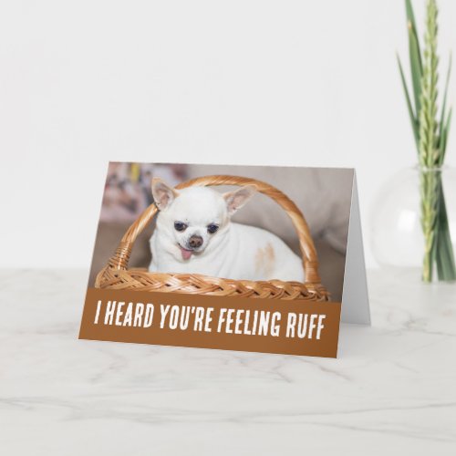 Get well cute dog chihuahua feeling ruff card