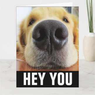 GET WELL DOG HEALING VIBES GREETING CARD