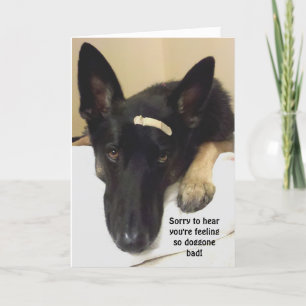 Get Well - Feeling So Doggone Bad Card