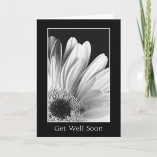 Get Well - Gerber Daisy Greeting Card