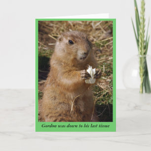 Get well gopher card