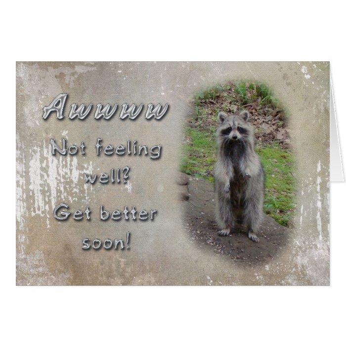 Get Well Greeting Card   Raccoon  Feel Better Soon