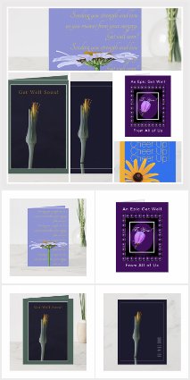 Get Well Greeting Cards and Postcards
