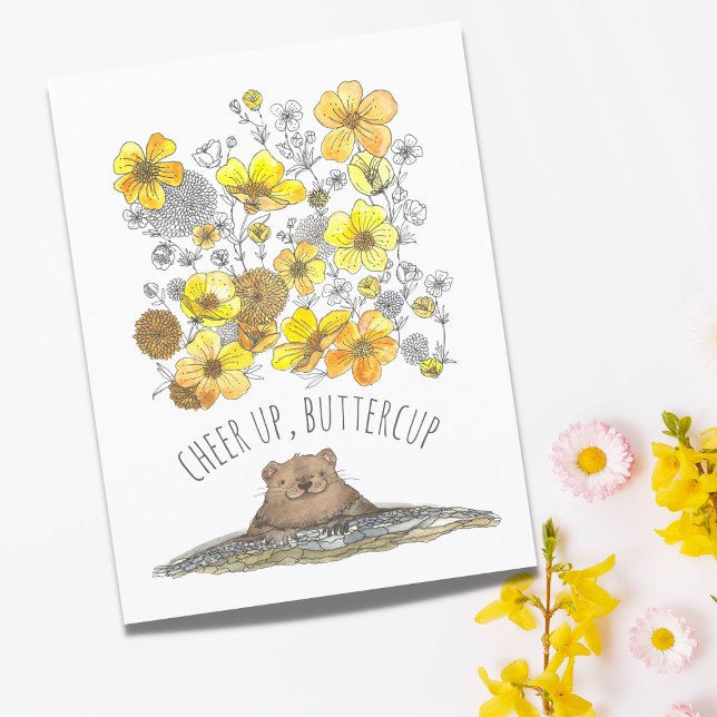 Get Well Groundhog Cheer Up, Buttercups Watercolor Postcard (Creator Uploaded)