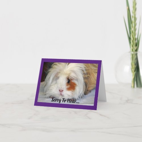 Get Well Guinea Pig Greeting Card