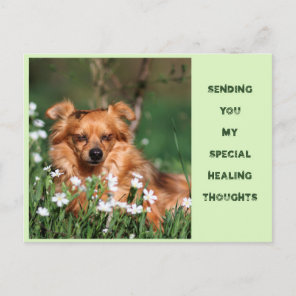 Get well - Healing - Gute Besserung  Postcard