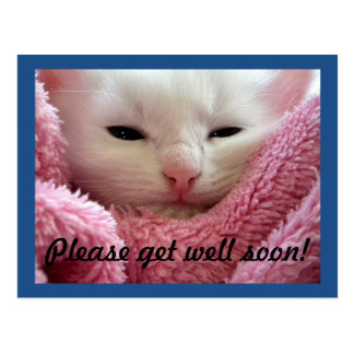 Get Well Kitten Postcard