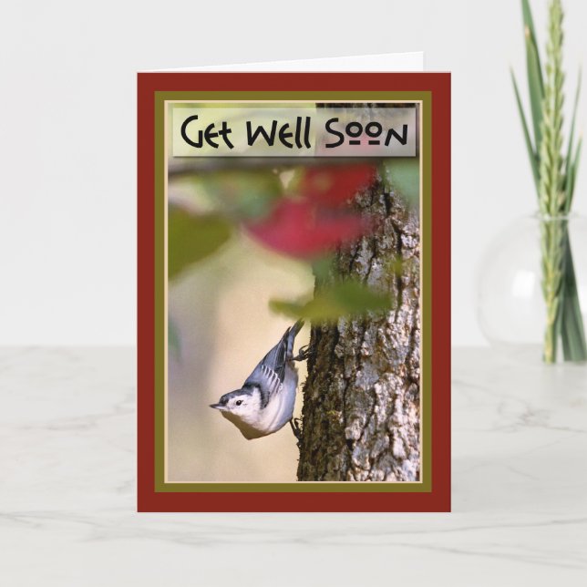 Get Well - Nuthatch Greeting Card (Front)