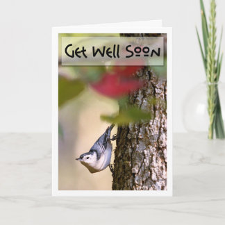 Get Well - Nuthatch Greeting Card