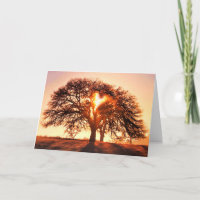 Get Well Oak Tree and Heart Card