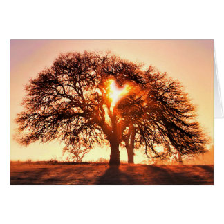 Get Well Oak Tree and Heart Card