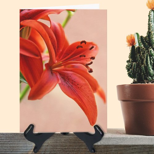 Get Well Orange Soon Tiger Lily Photo Template