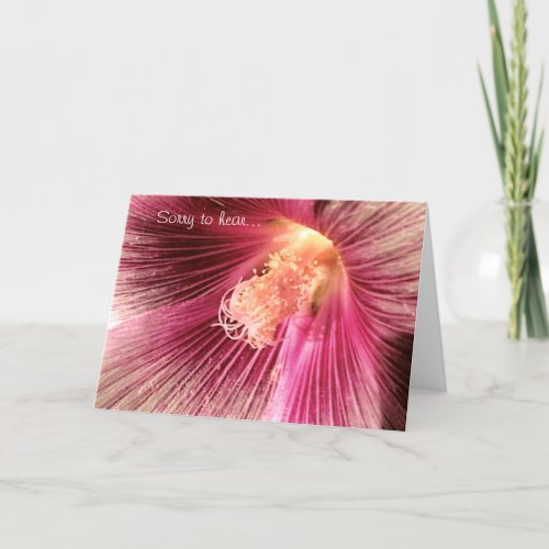Get Well Pink Holly Hock Flower Card