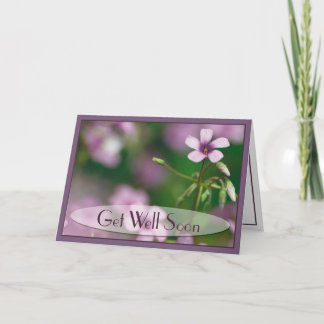 Get Well - Pink Wood Sorrel Greeting Card