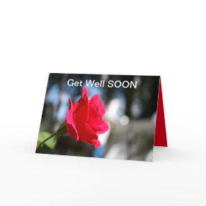 GET WELL ROSE Card