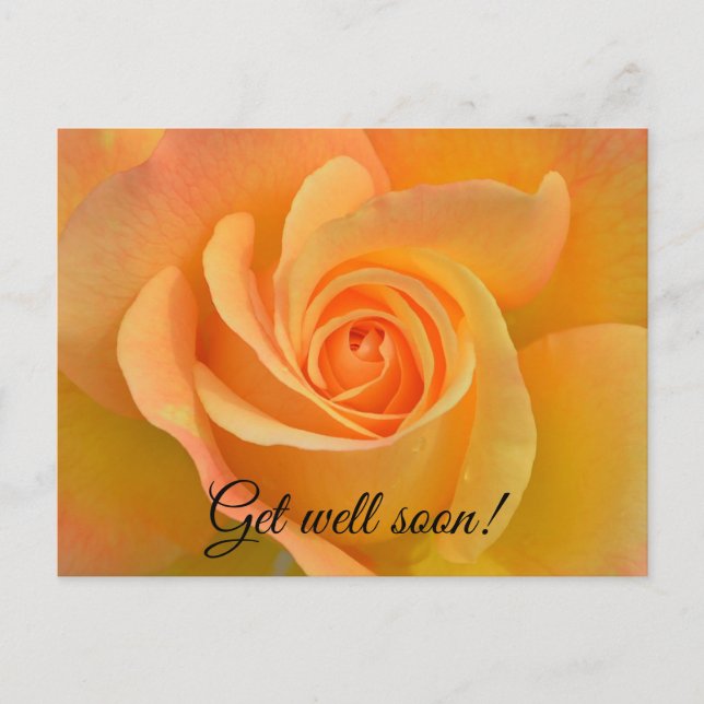 Get well rose postcard (Front)