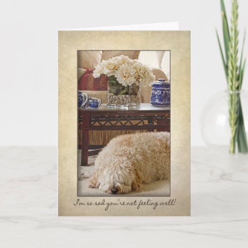 Get Well _ Sad Doggie Card