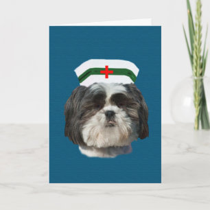 Get Well, Shih Tzu Dog Card