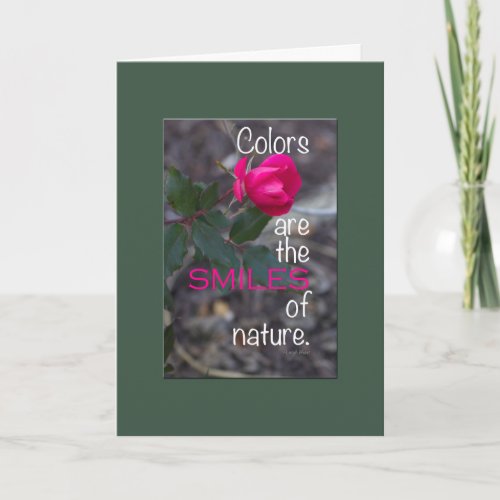 Get Well Single Pink Rose Photo Green Border Card