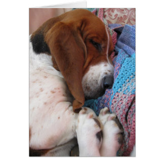 Get Well Soon Basset Hound Card