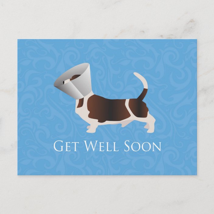 Get Well Soon - Basset Hound Male Postcard | Zazzle.com