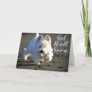 Get Well Soon Beachcombing Westie Photo Card
