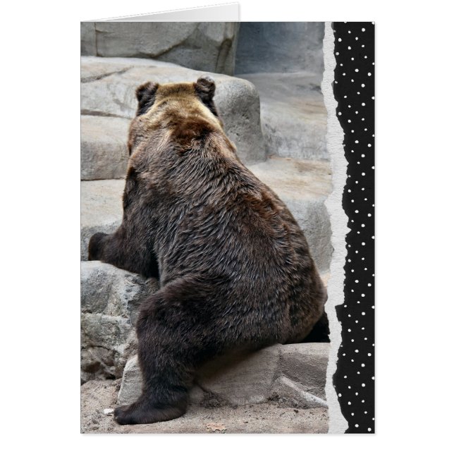 Get Well Soon Bear Cards (Front)